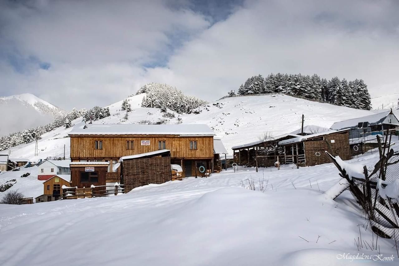 Гостевой дом Guest House Old Omalo Омало